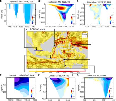 Water sources of the Lombok, Ombai and Timor outflows of the Indonesian throughflow